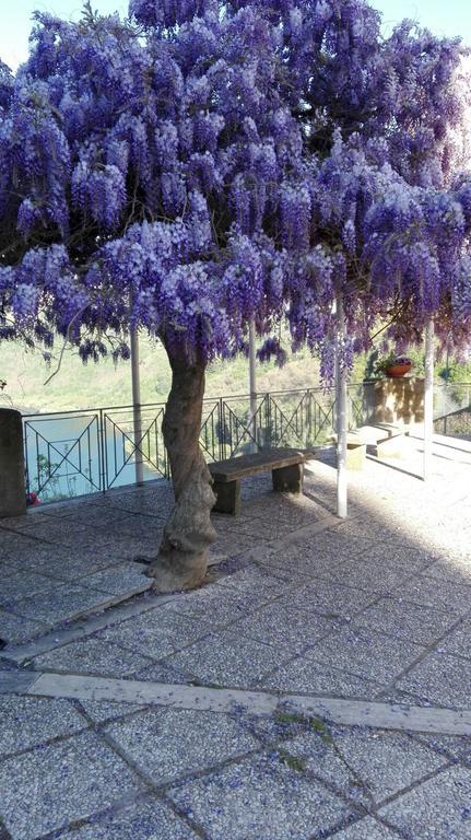 La Casa Di Milady Bed & Breakfast เจนซาโน ดิ โรมา ภายนอก รูปภาพ